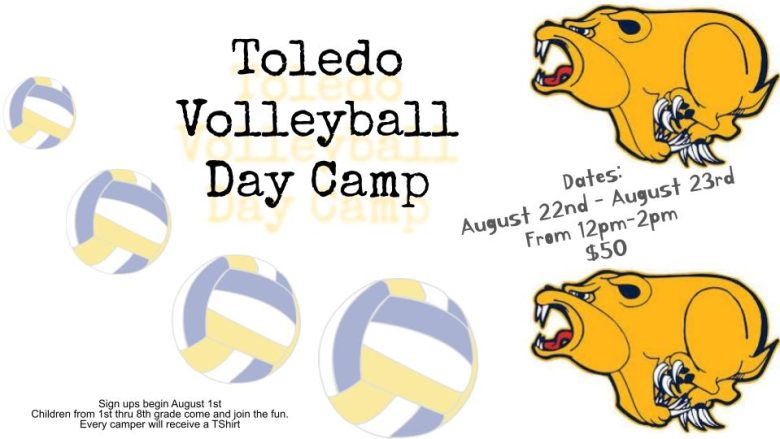Toledo Volleyball Day Camp